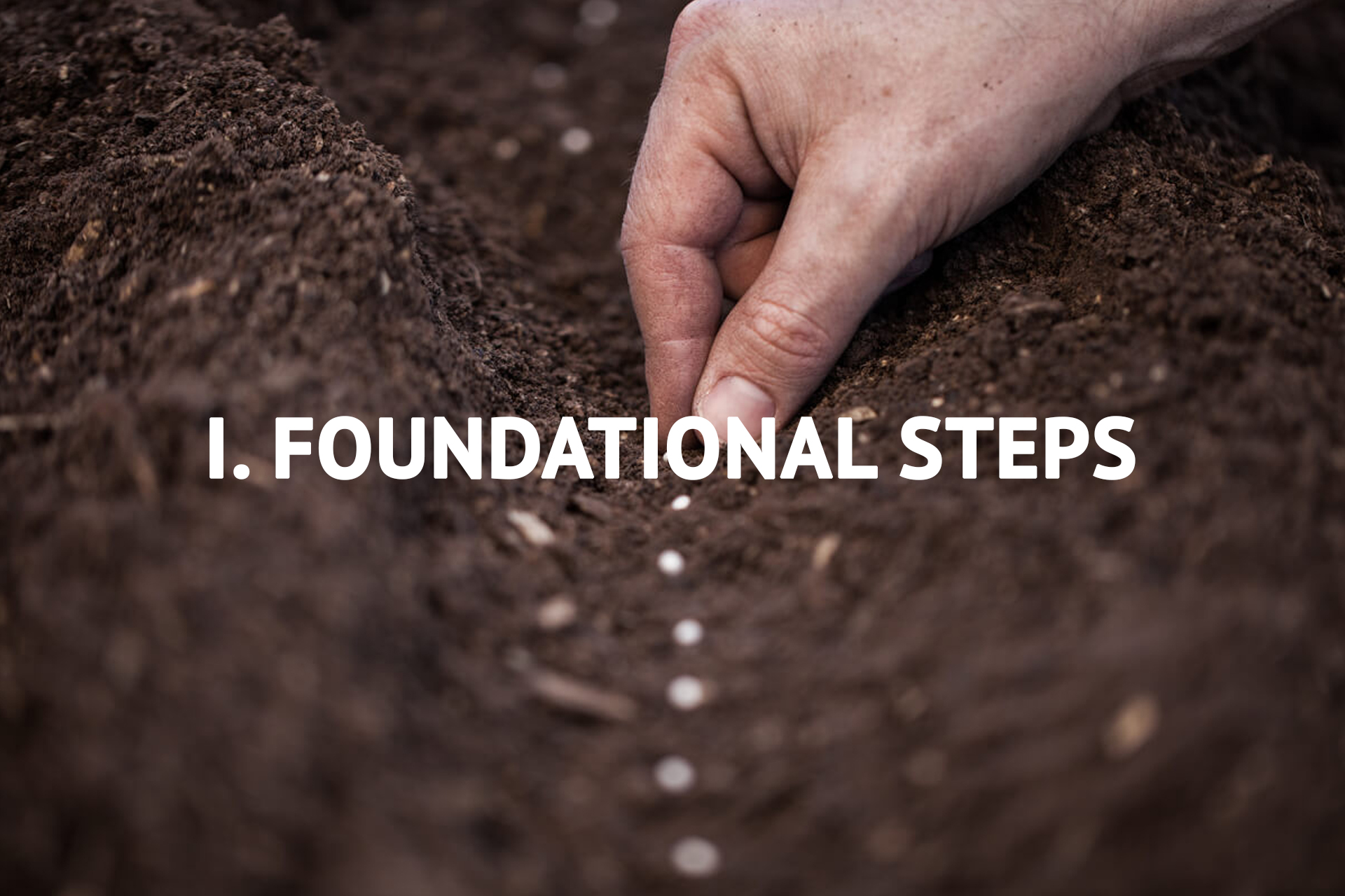 Foundational Steps 5