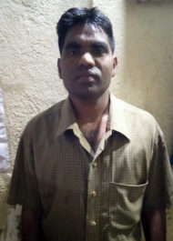India Crop